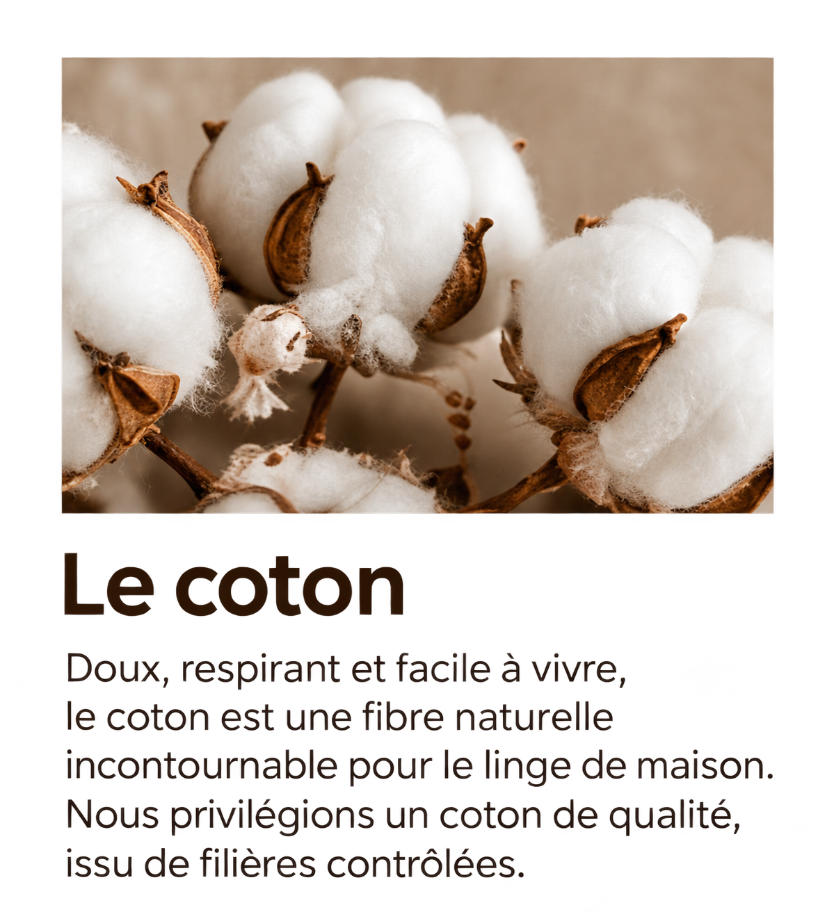Coton Maison Questel